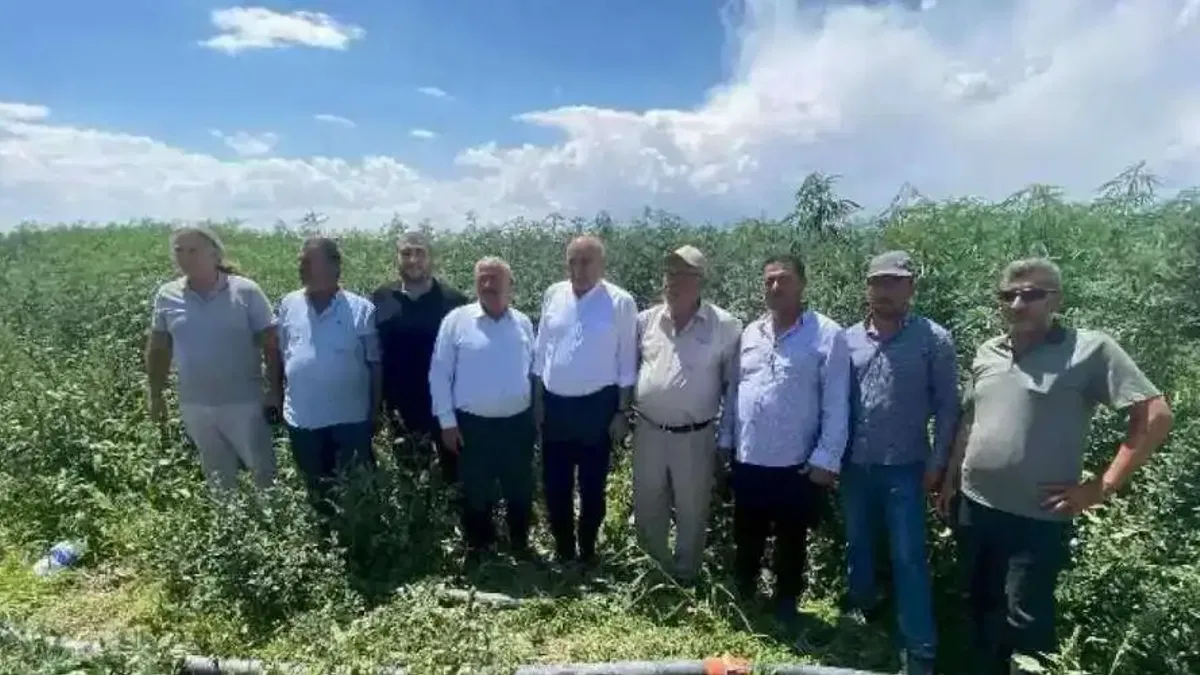PANKOBİRLİK: Önümüzdeki yıl sanayi alt yapısına başlayacağız