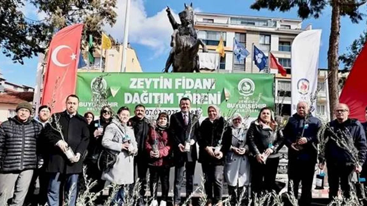 Denizli'de zeytin fidanları toprakla buluşuyor