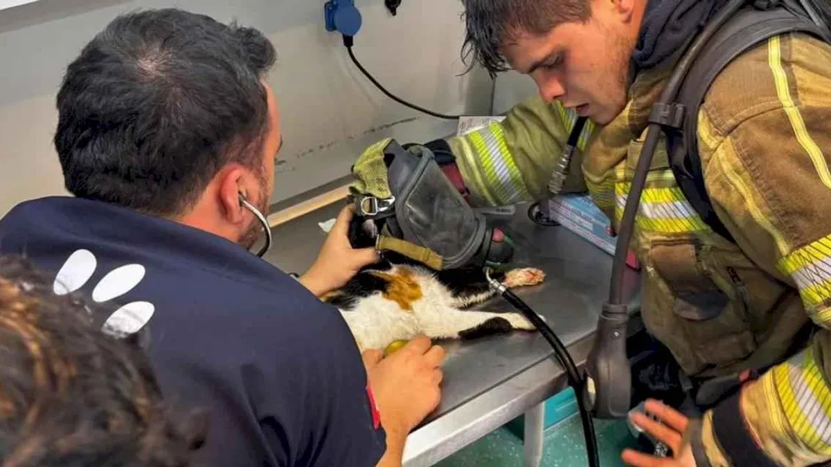 İzmir’de itfaiyeden can dostlara kahramanca müdahale
