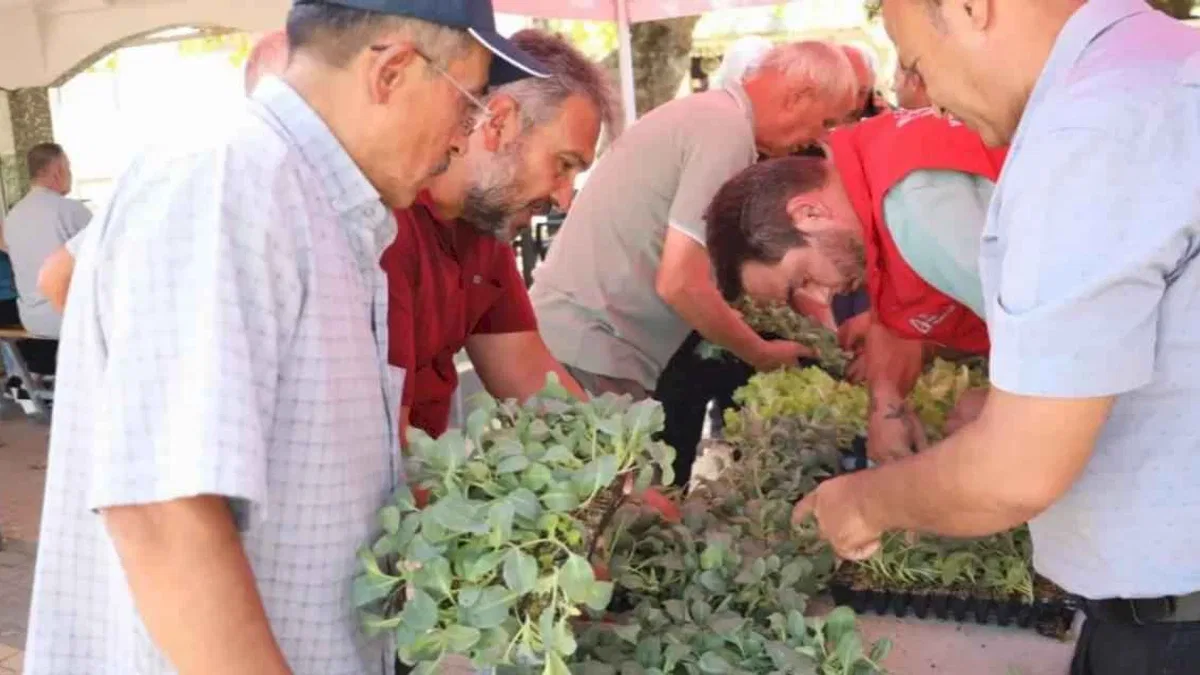 İzmit’te başlayan fide desteği, Gebze köylerine ulaştı