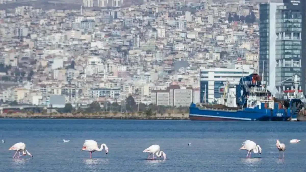 İzmir, yaşanabilir ve refah seviyesi yüksek kent olacak