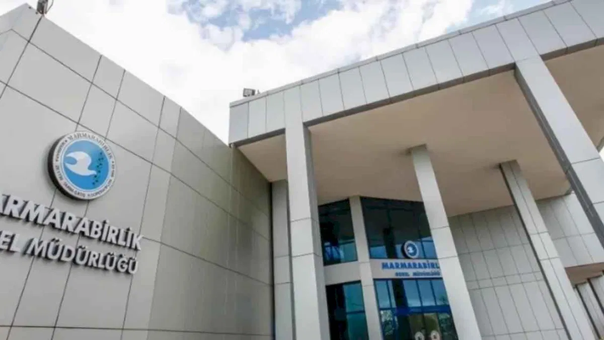 Marmarabirlik'ten zeytinciye 800 milyon TL daha... Fark ödemelerinin tarihi de belli oldu