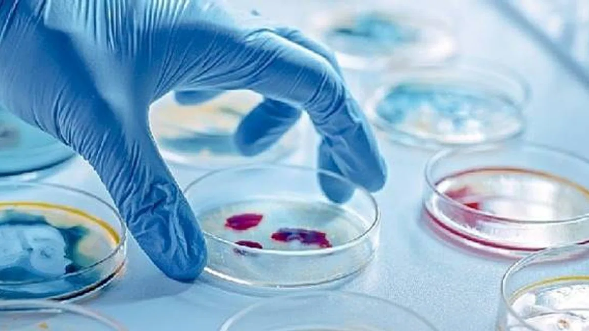 Enfeksiyonun En Ağır Hali: Sepsis