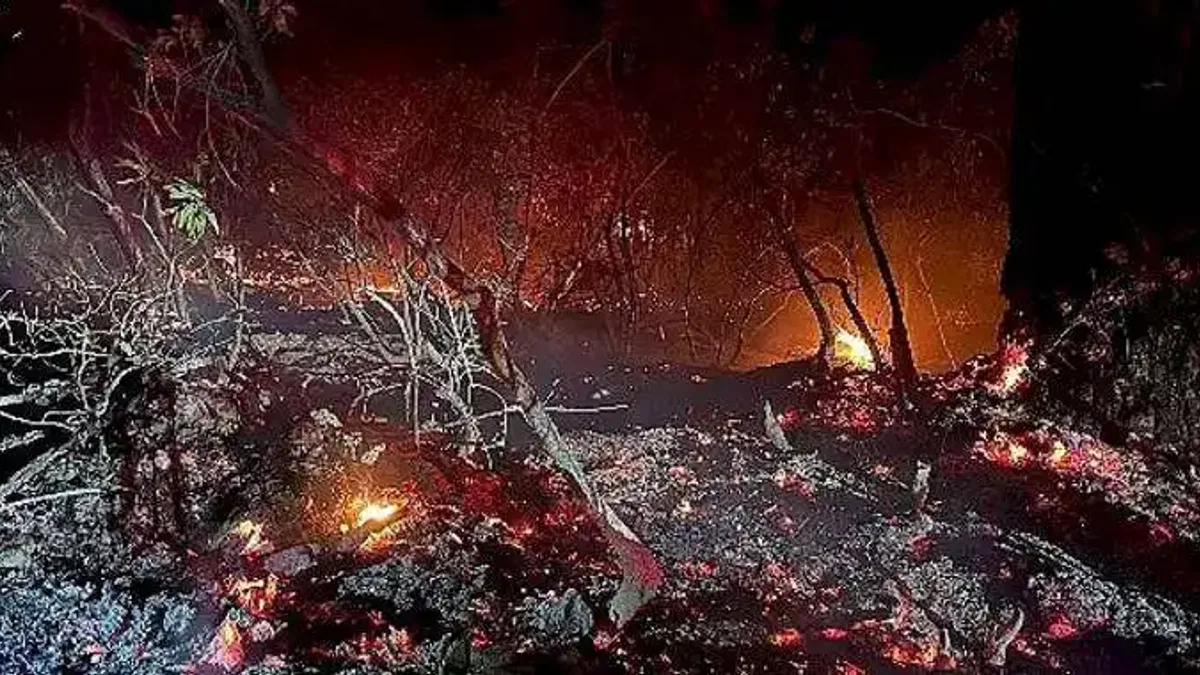 Başkan Kılıç ve BUCAKUT Yangın Bölgesinde