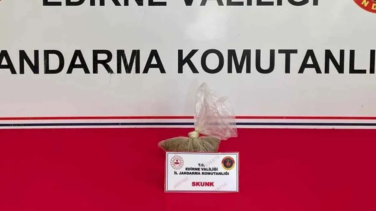 Edirne Keşan’da Skunk ele geçirildi