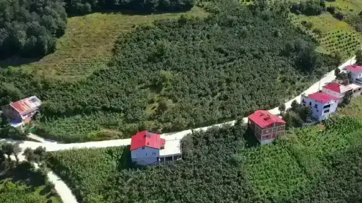 Ordu Kumru’da 35 yıllık yol özlemi sona erdi