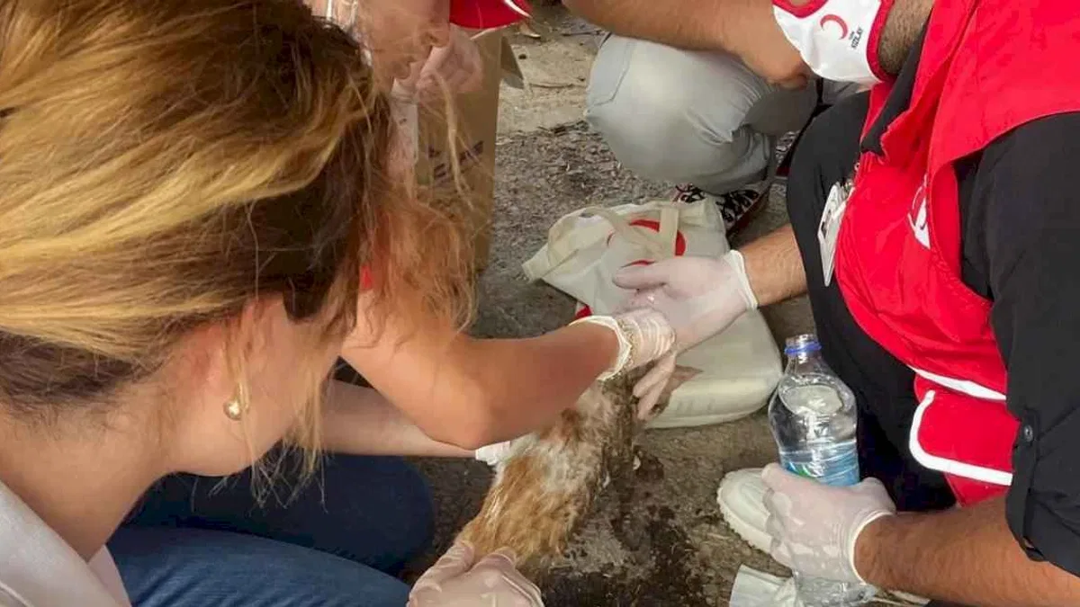 Kızılay Konak Şubesi'nden yangın seferberliği
