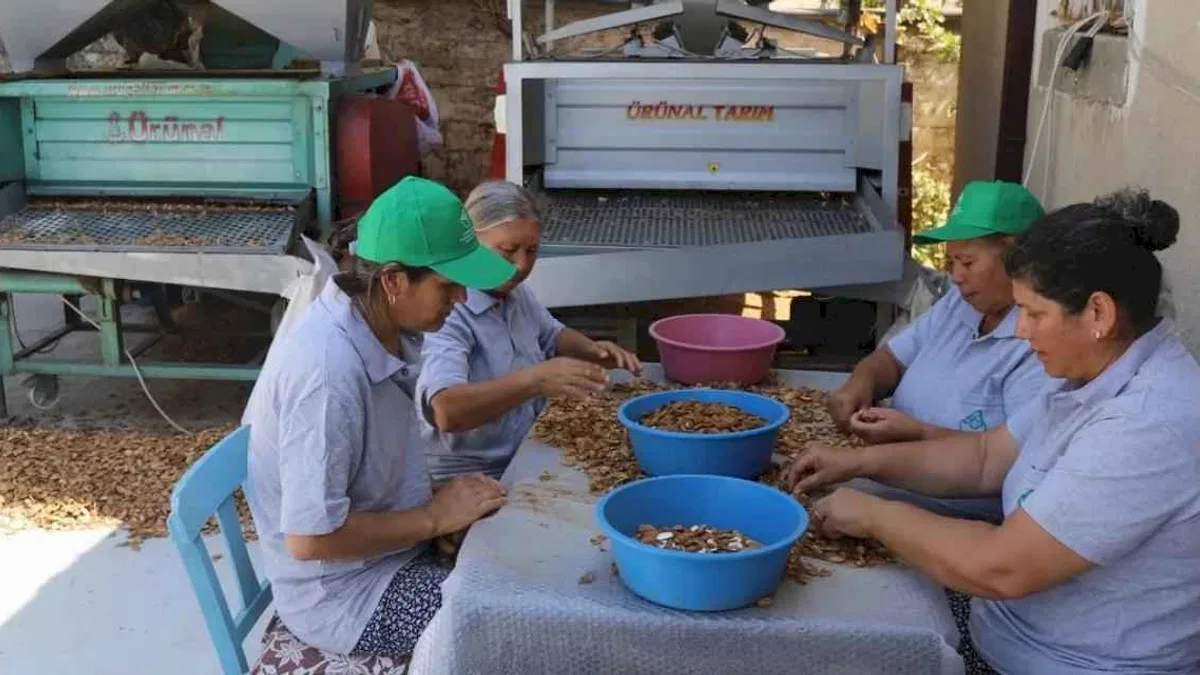 Muğla tarımı dünyaya açılıyor