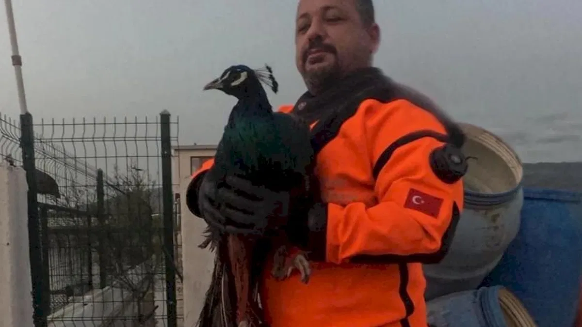İzmir İtfaiyesi sessiz canlar için zamanla yarıştı