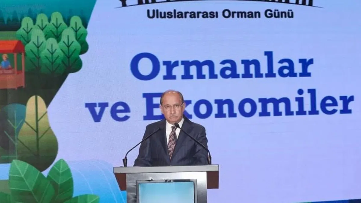 Ormanların ekonomik gücüne dikkat çekildi