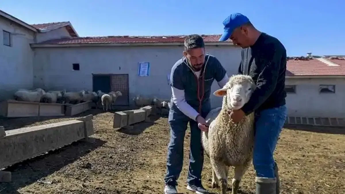 ABB'den kırsala veterinerlik hizmeti