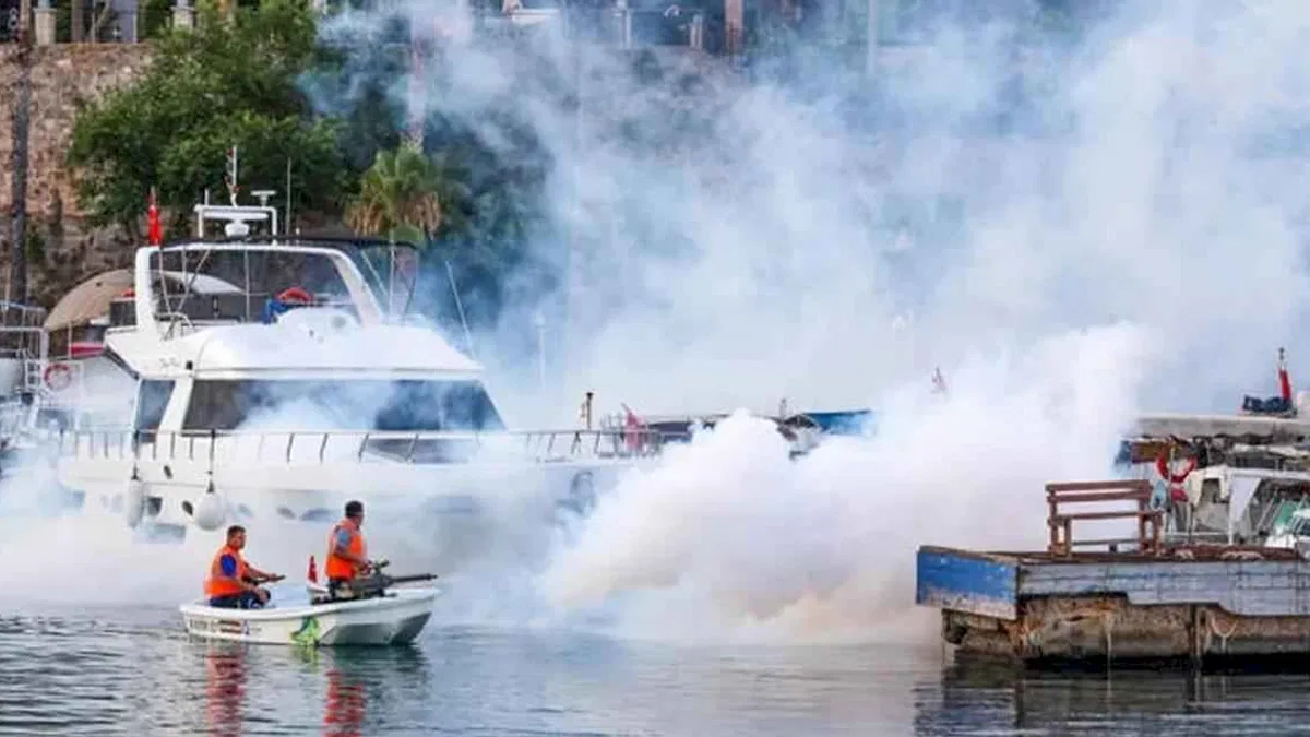 Antalya’nın her köşesinde vektörel mücadele