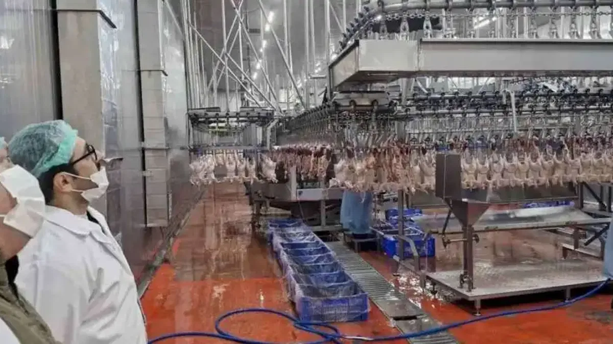 Sakarya’da kanatlı hayvan işletmelerine sıkı denetim