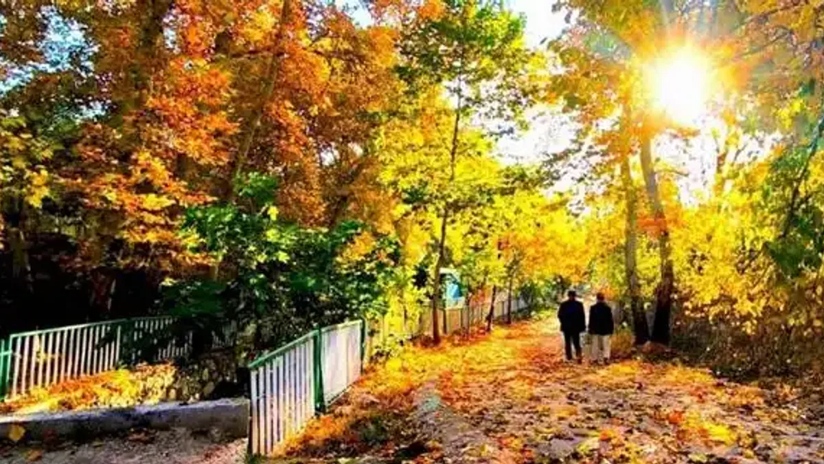 Mardin Yeşilli'de sonbahar büyüsü (Özel Haber)