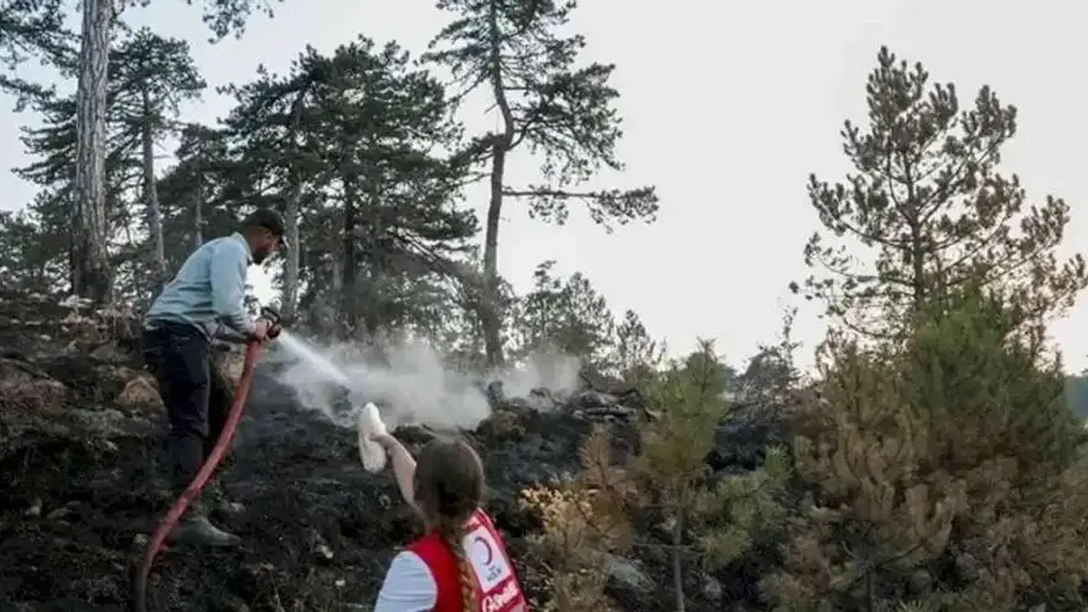Türk Kızılayı orman yangınlarıyla mücadelede ön safta