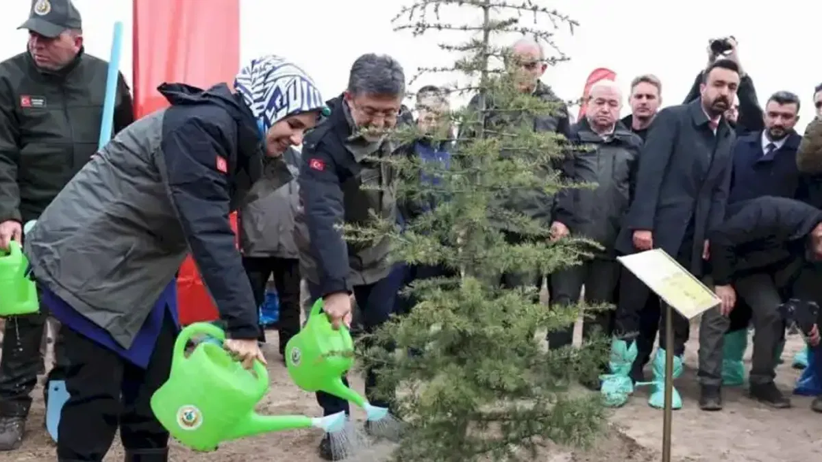 Geleceğe nefes fidanlar 'Gazze Hatıra Ormanı'nı yeşertecek