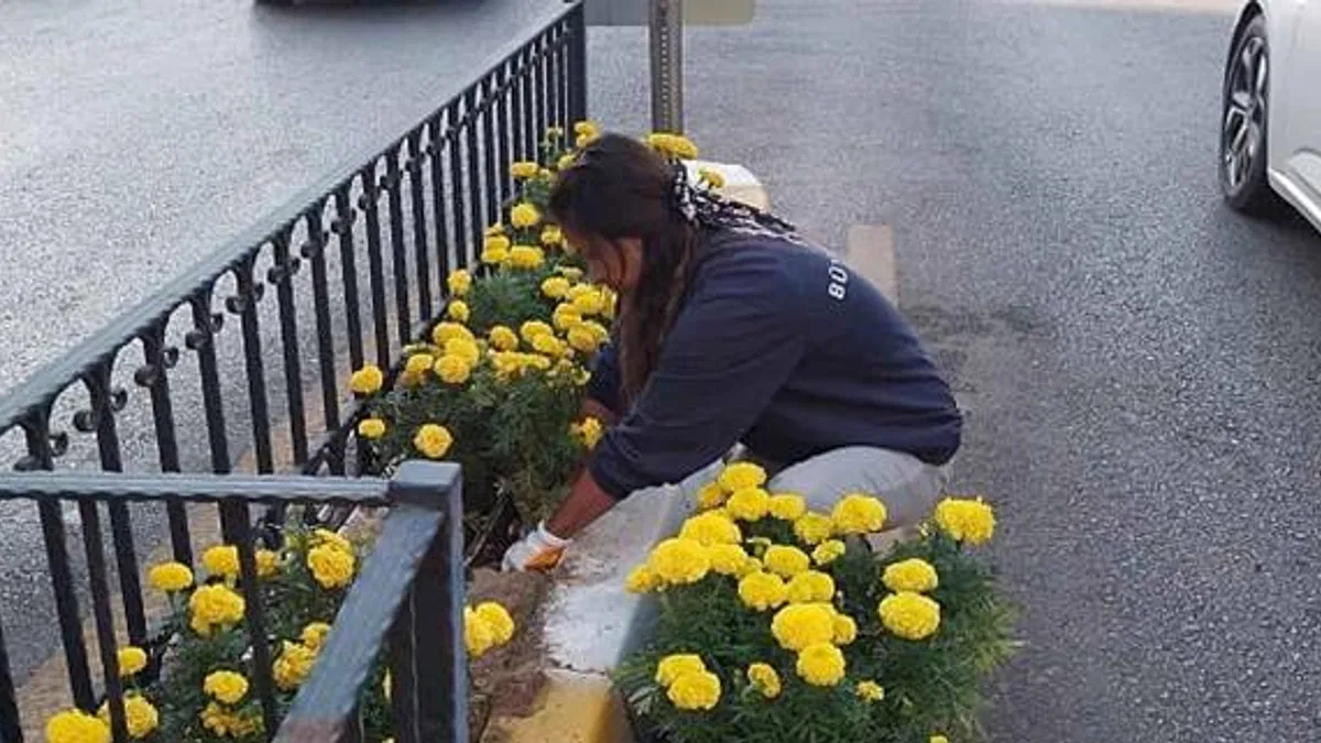 Başkan Çerçioğlu'nun hizmetleri vatandaşlardan tam not alıyor