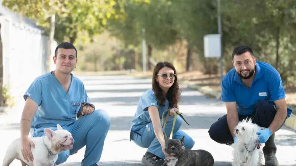 İzmir’de el konulan 20 cins köpek sahiplendirilecek