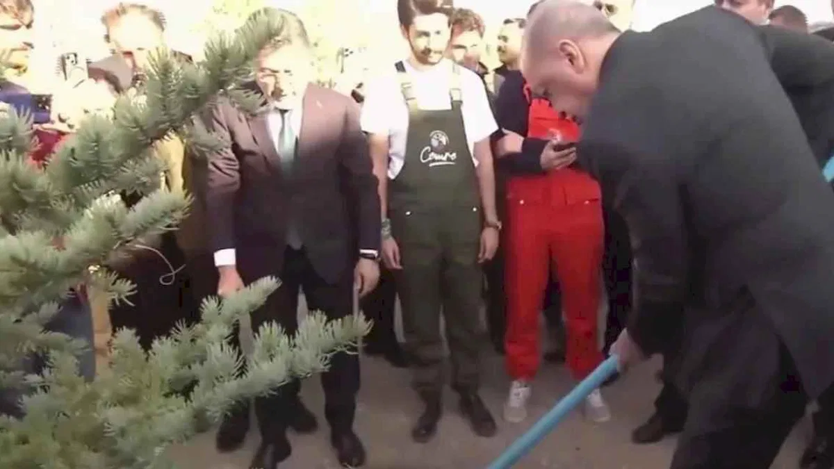 Cumhurbaşkanı Erdoğan: Her karış vatan toprağını yeşille, hayatla, umutla buluşturacağız
