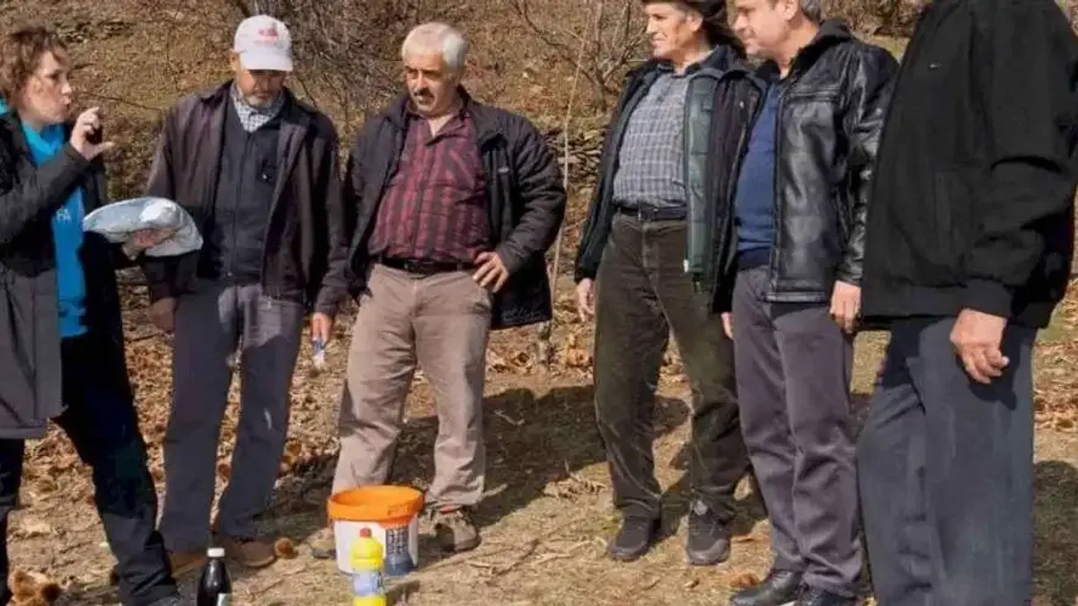 İzmir’de kestane kanseri ile mücadele sürüyor