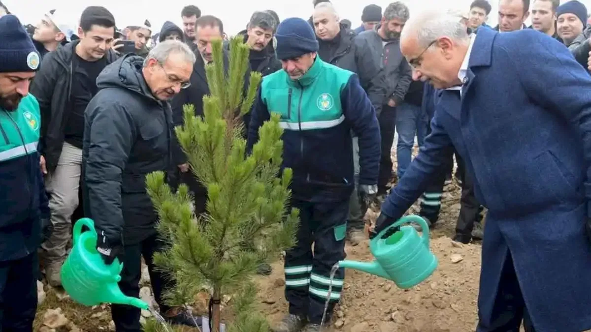 Malatya Beydağı’nda 10 bin 444 fidan toprakla buluştu