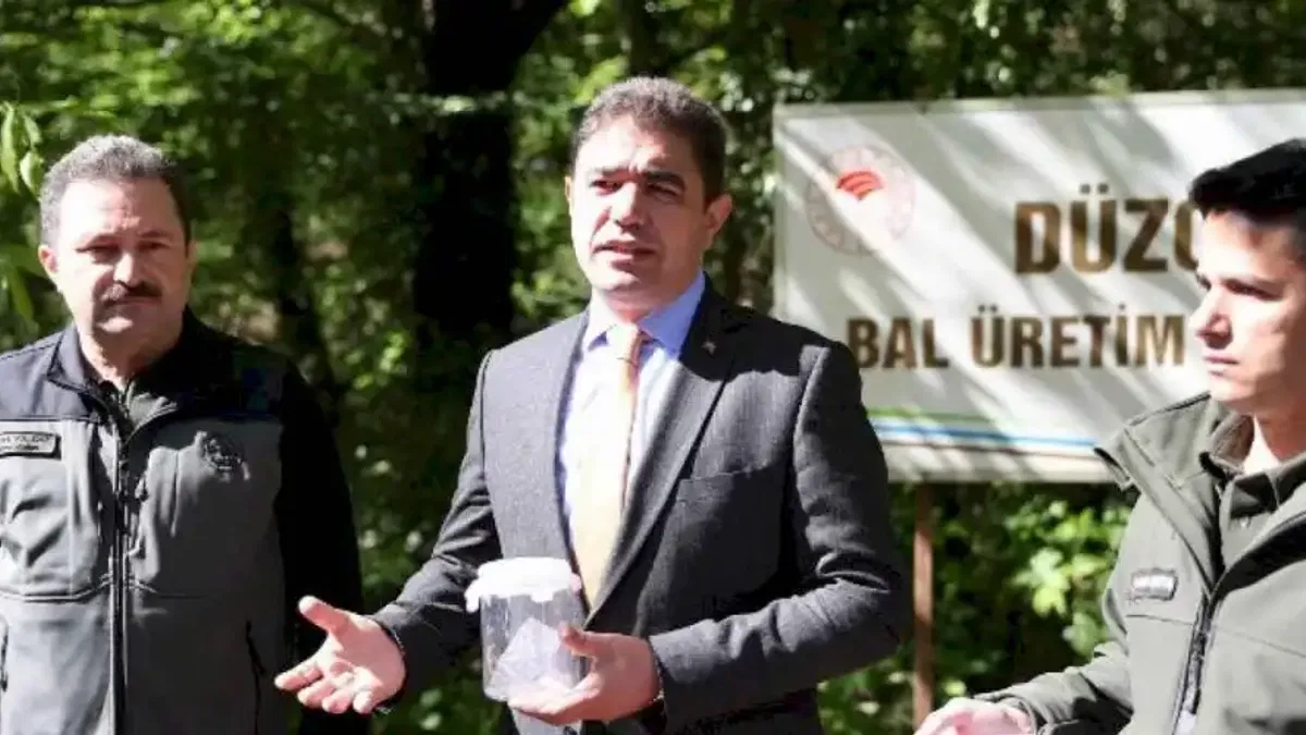 Düzce Valiliğinden gal arısı ile mücadele