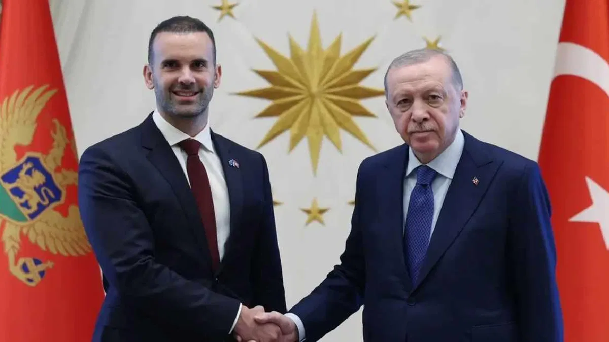 Erdoğan, Karadağ Başbakanı Spajiç’i kabul etti... Türkiye-Karadağ ilişkileri ele alındı