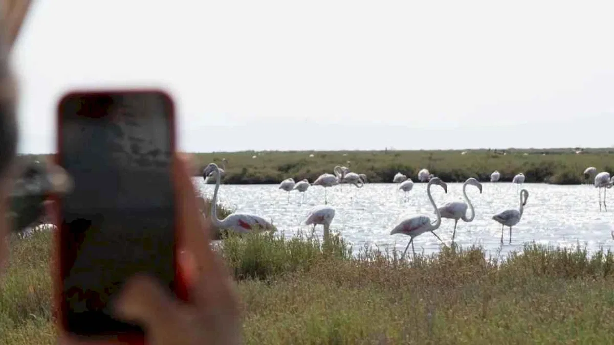 Doğa ve lezzet tutkunları bu turları çok sevecek