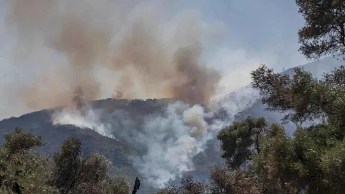 İzmir’in orman yangını risk haritası hazır