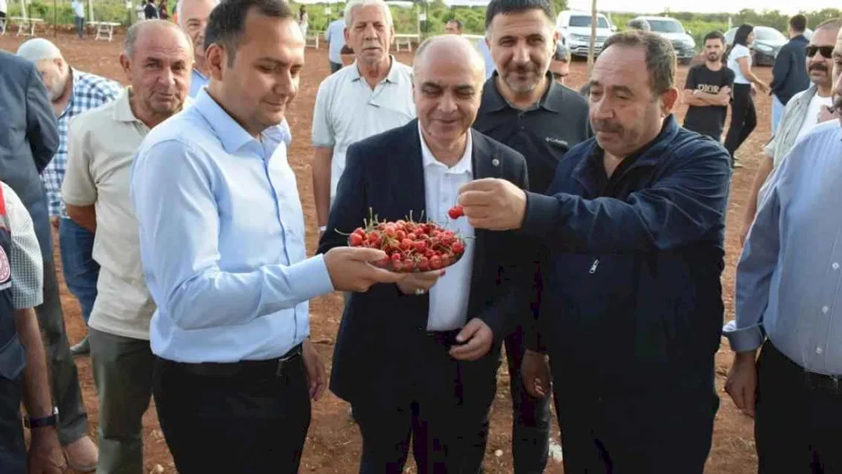 Mardin Ömerli'de doğa ve kültür buluştu