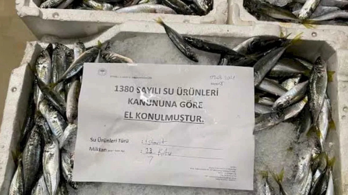 Yediemin'deki su ürünlerini kaçıranlara hapis cezası!