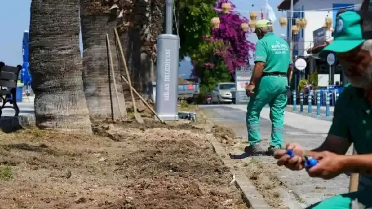 Milas Belediyesi, Güllük’te çalışmaları hızlandırıyor