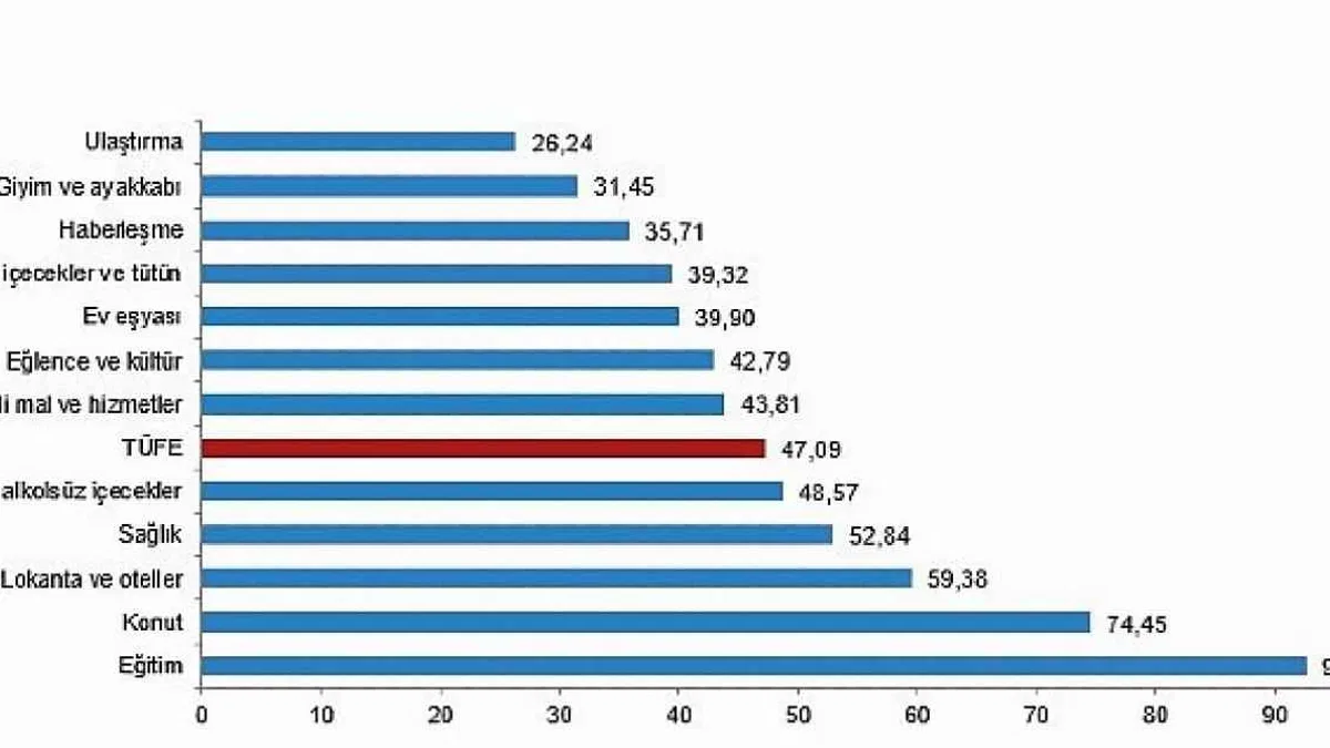 Tüik Tüketici fiyat endeksi (TÜFE) yıllık %47,09, aylık %2,24 arttı