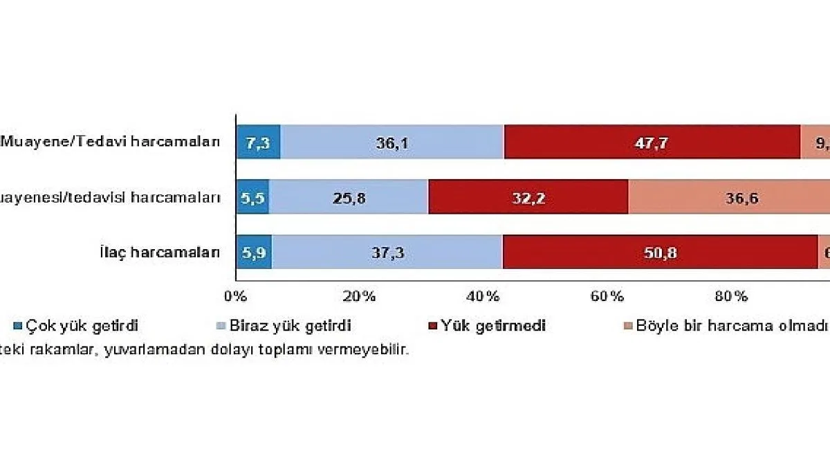 Muayene ve tedavi harcamaları hanelerin yüzde 7,3'üne çok yük getirdi