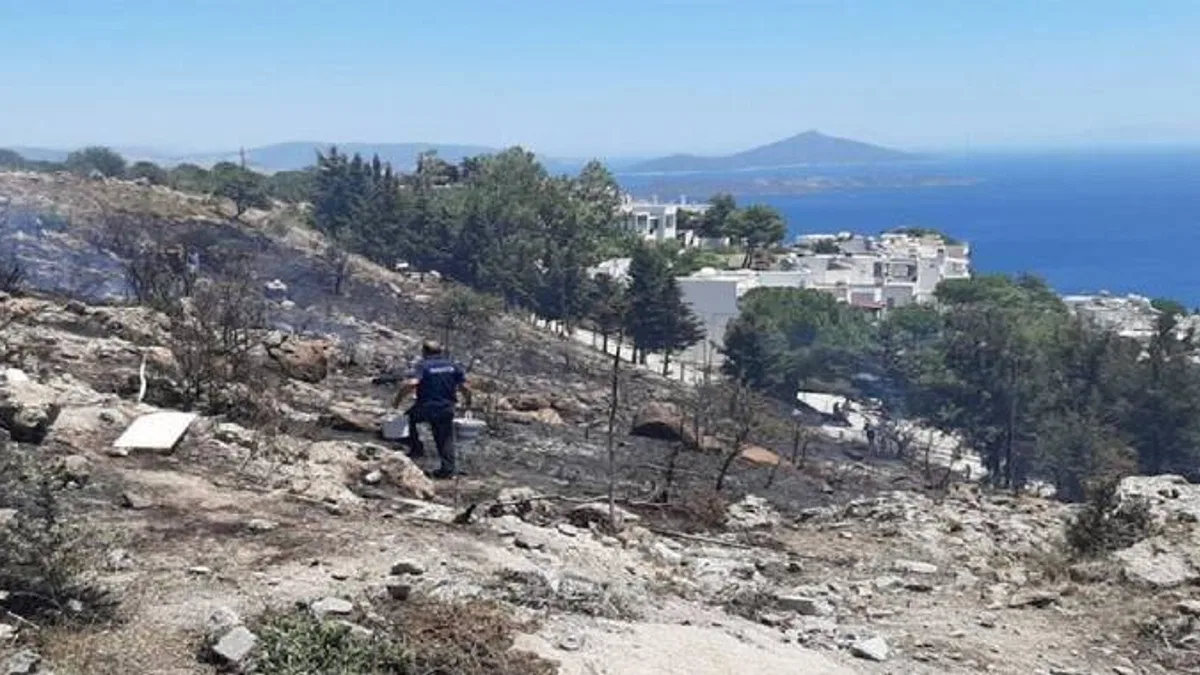 Bodrum'daki peşi sıra yangınlar destek ekipleriyle kontrol altında