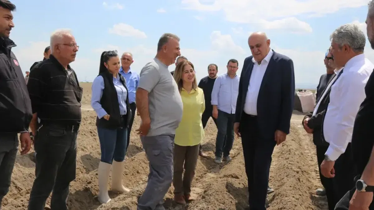 Patateste ithal tohum dönemi sona eriyor