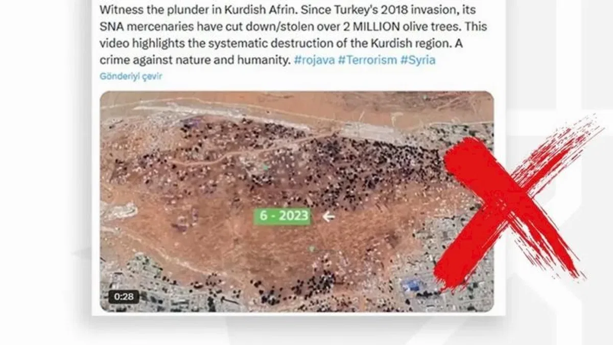 Afrin'de 2 milyon zeytin ağacı kesildi iddiasına İletişim'den yanıt