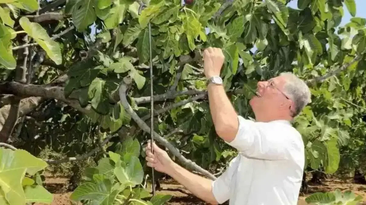 Mudanya'da iki önemli yeni yatırımla üretici kalkınacak