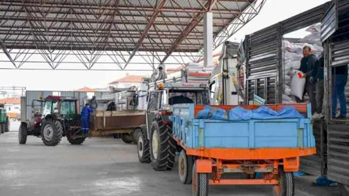 Başkentli Üreticiye 1 Milyon 500 Bin Kilogram Nohut Tohumu Desteği
