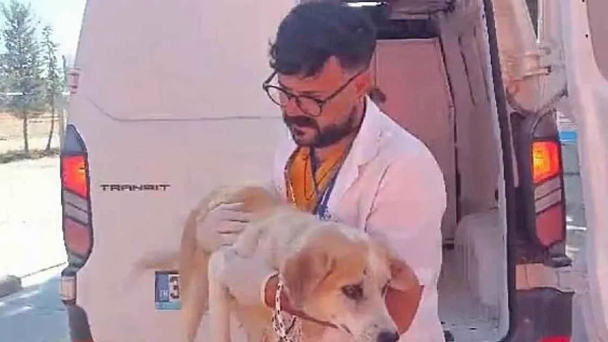 Didim'de Kuyuya Düşen Köpek Belediye Ekiplerince Kurtarıldı