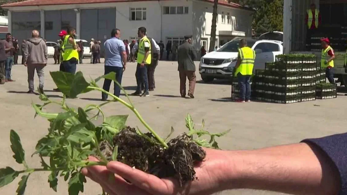 Ankara Büyükşehir'den kırsal kalkınma desteklerine devam