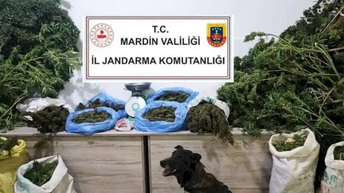 Manav değil uyuşturucu satıcısı