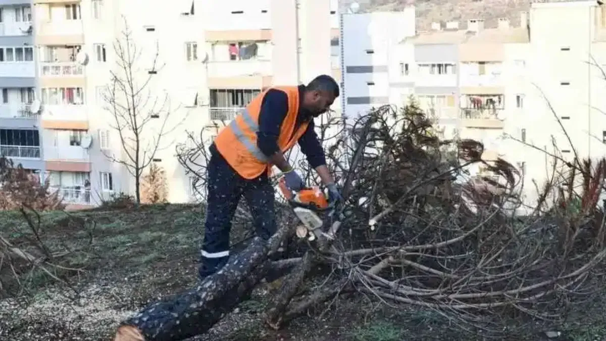 İzmir Çiğli yangın izlerini siliyor!