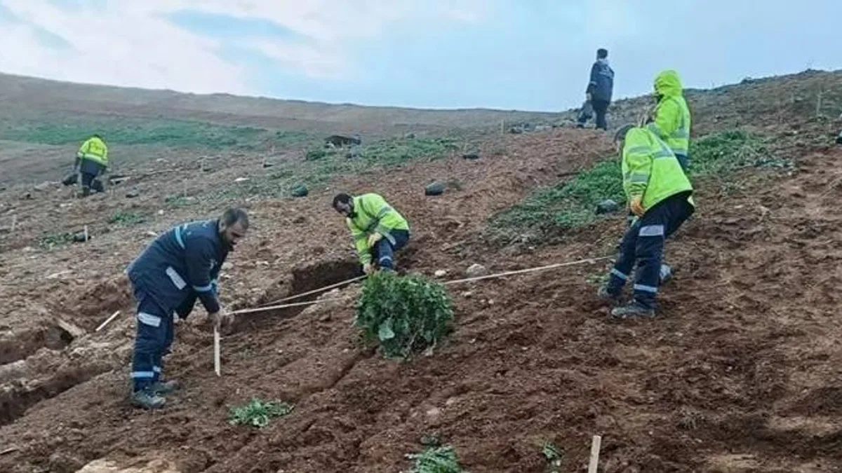 Kocaeli Gebze'de Büyükşehir’le yeşile dokunuş