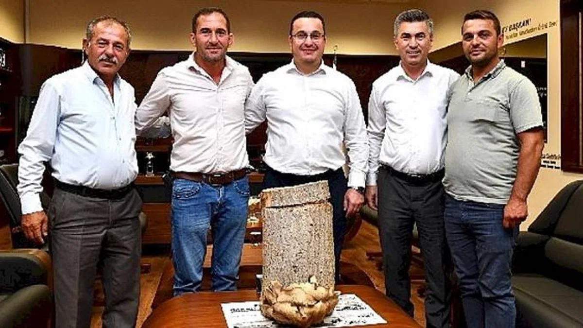 Mustafakemalpaşa tarımda yeni bir kapı araladı: Kütük Mantarı Yetiştiriciliği