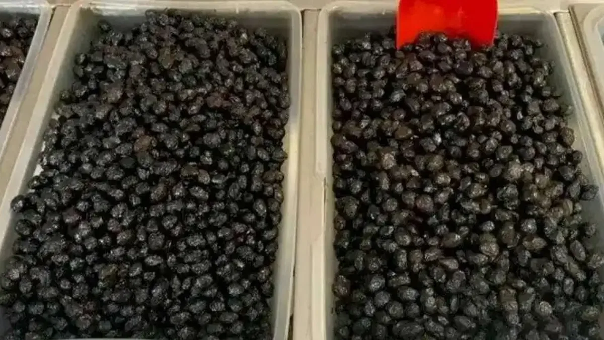 Meşhur İznik zeytininde fiyatlar ne durumda?
