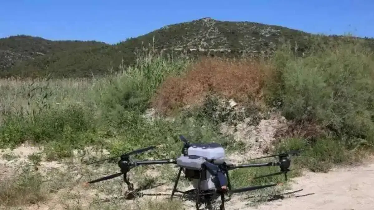 İzmir Efes Selçuk'ta Büyükşehir'den ilaçlama desteği