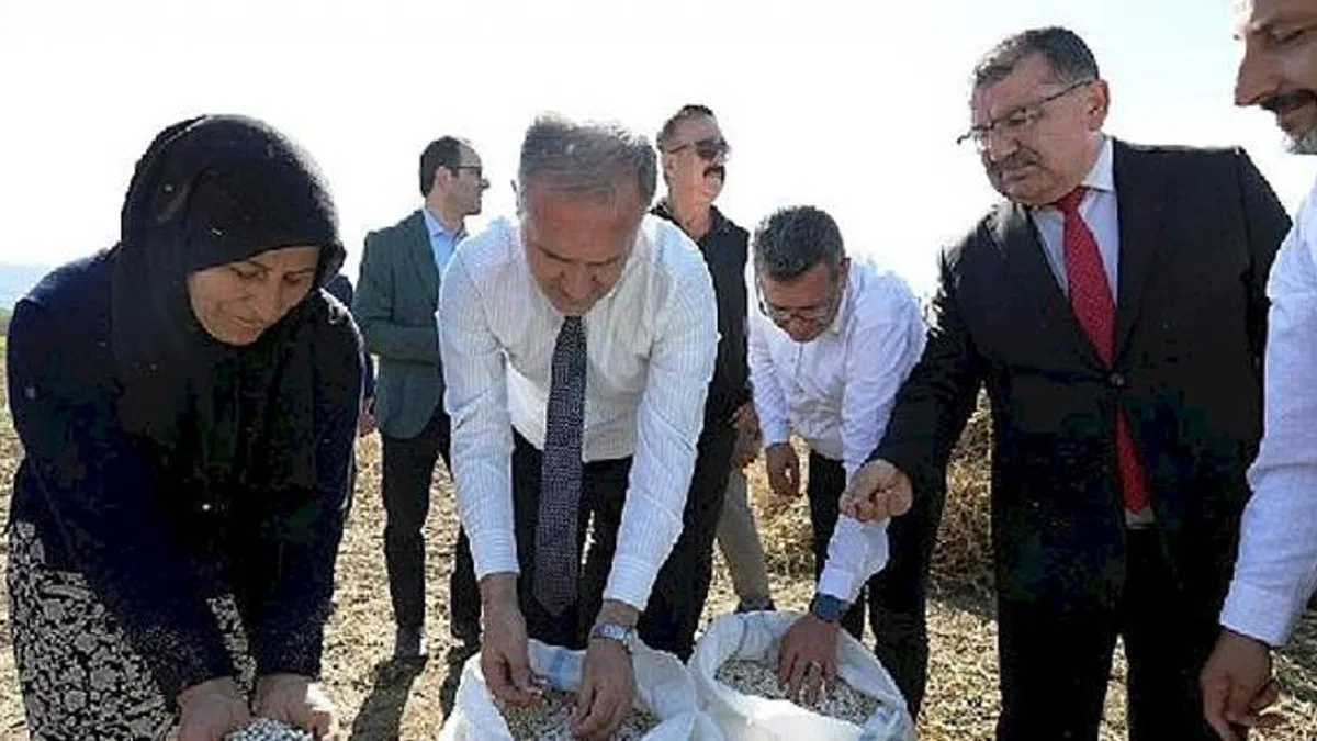 Tarladan Sofraya; Cerrah Kuru Fasulyesi