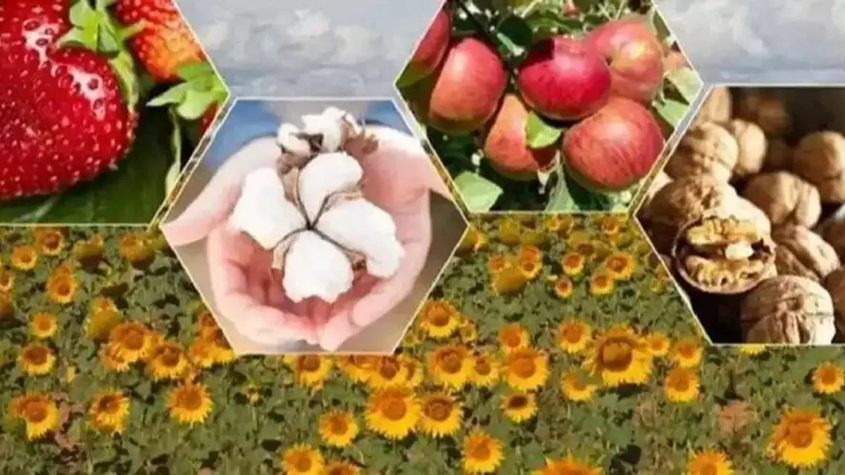 2026’da bitkisel üretimde büyük artış bekleniyor