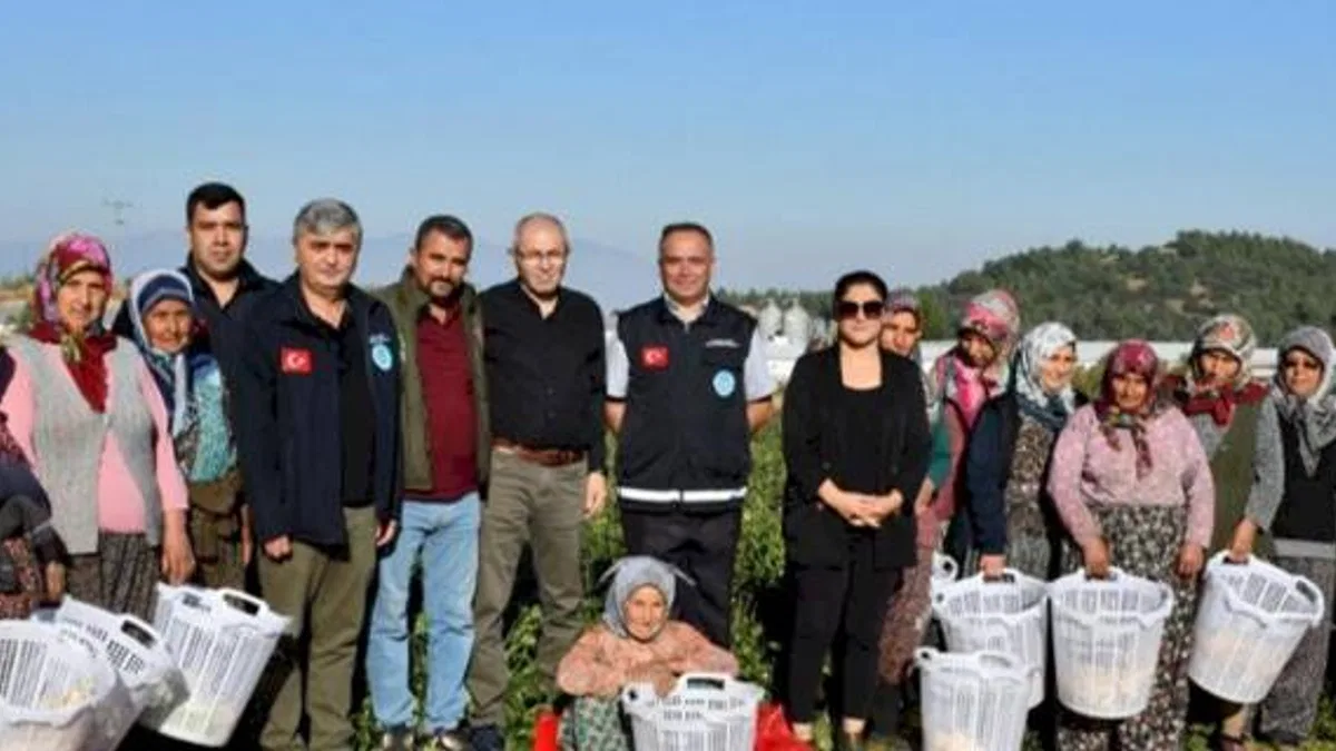Manisa'da çiftçi kadınların günü tarlada kutlandı
